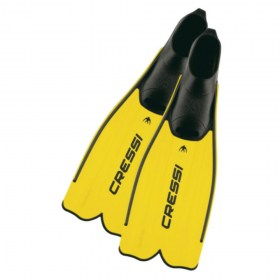 ca181035 rondinella giallo8